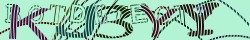 Skriv tegnene du ser i CAPTCHA billedet