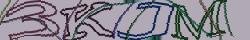 Skriv tegnene du ser i CAPTCHA billedet