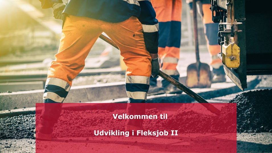 Velkommen til Udvikling i Fleksjob 2