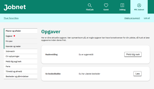 Screen shot af opgavesiden