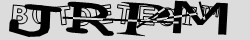 Skriv tegnene du ser i CAPTCHA billedet