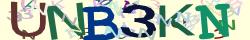 Skriv tegnene du ser i CAPTCHA billedet